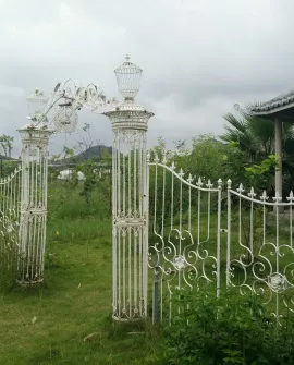 云表新仲村风景