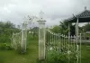 云表新仲村风景