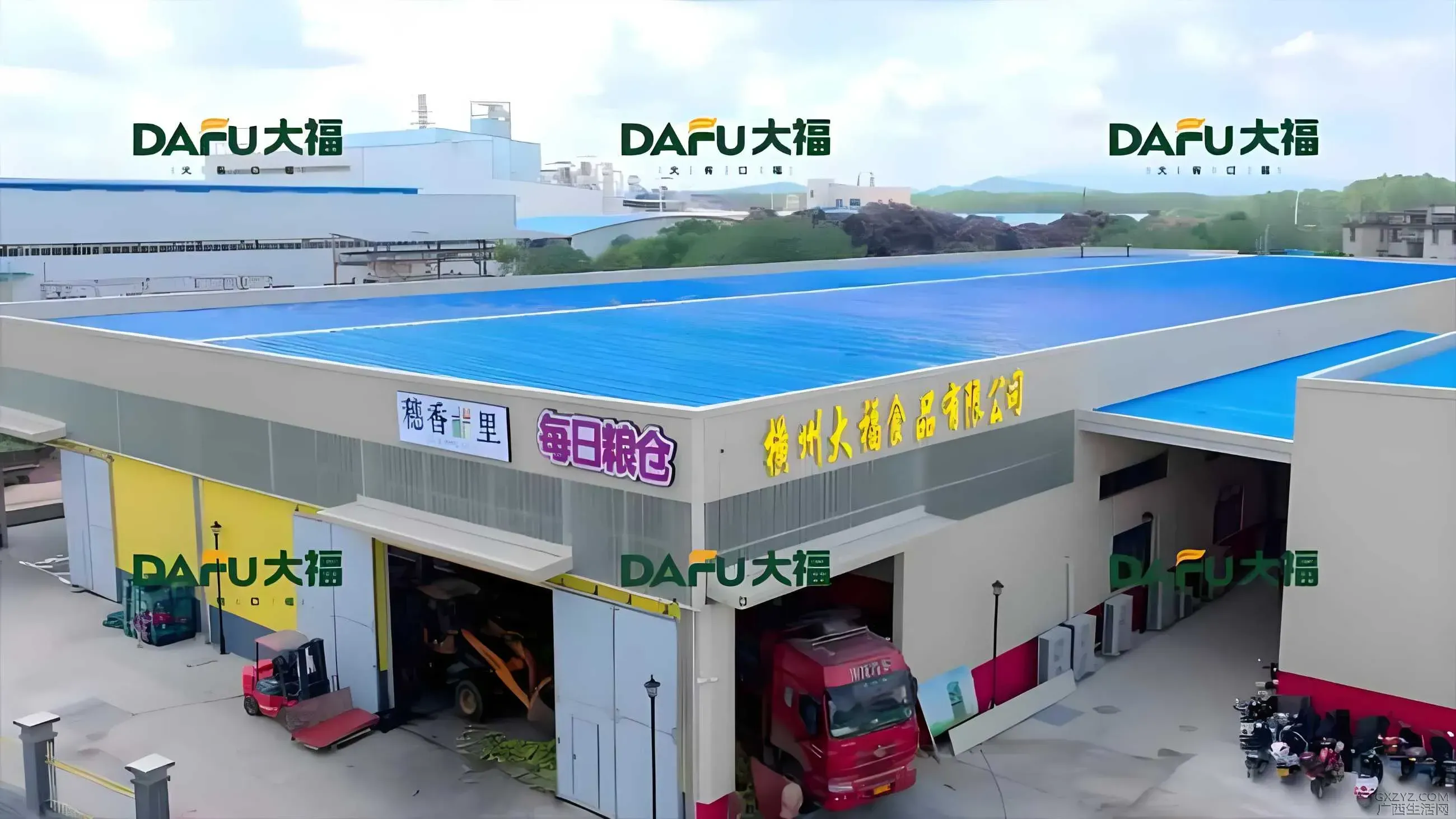dafu1.webp
