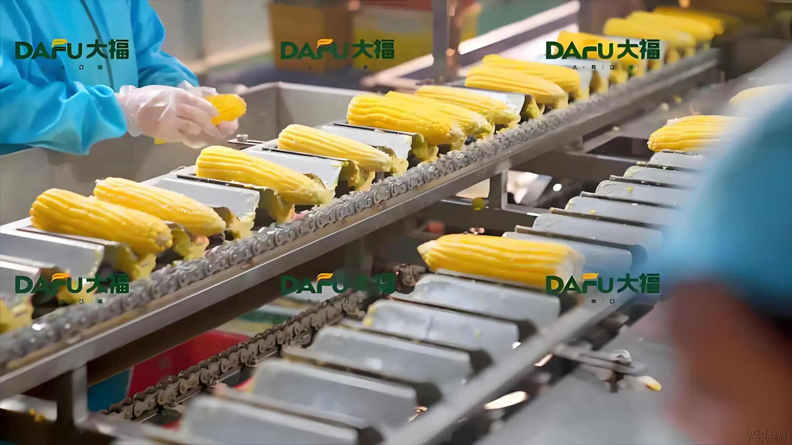 dafu3.webp