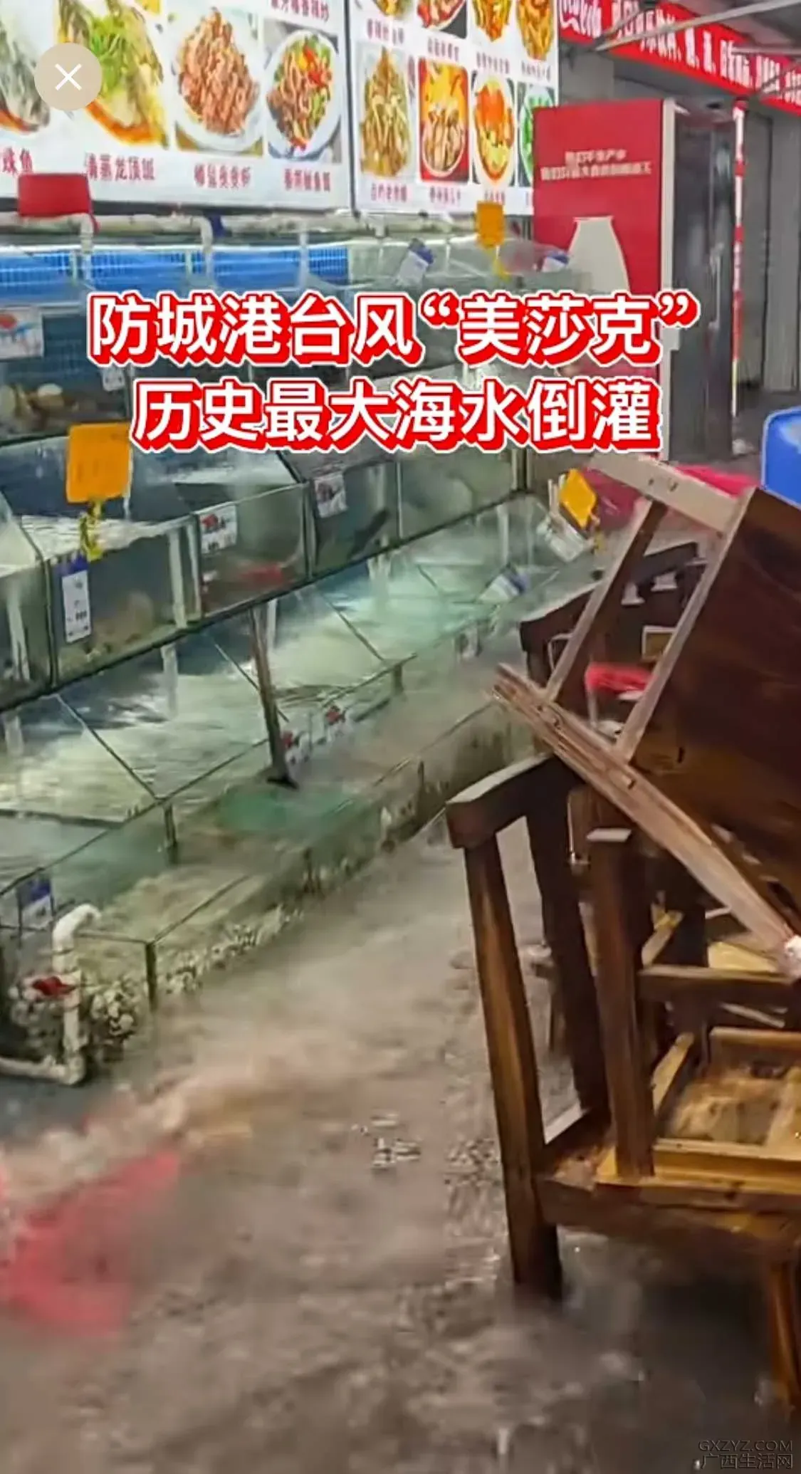 微信图片_20260705100905_157_2.webp