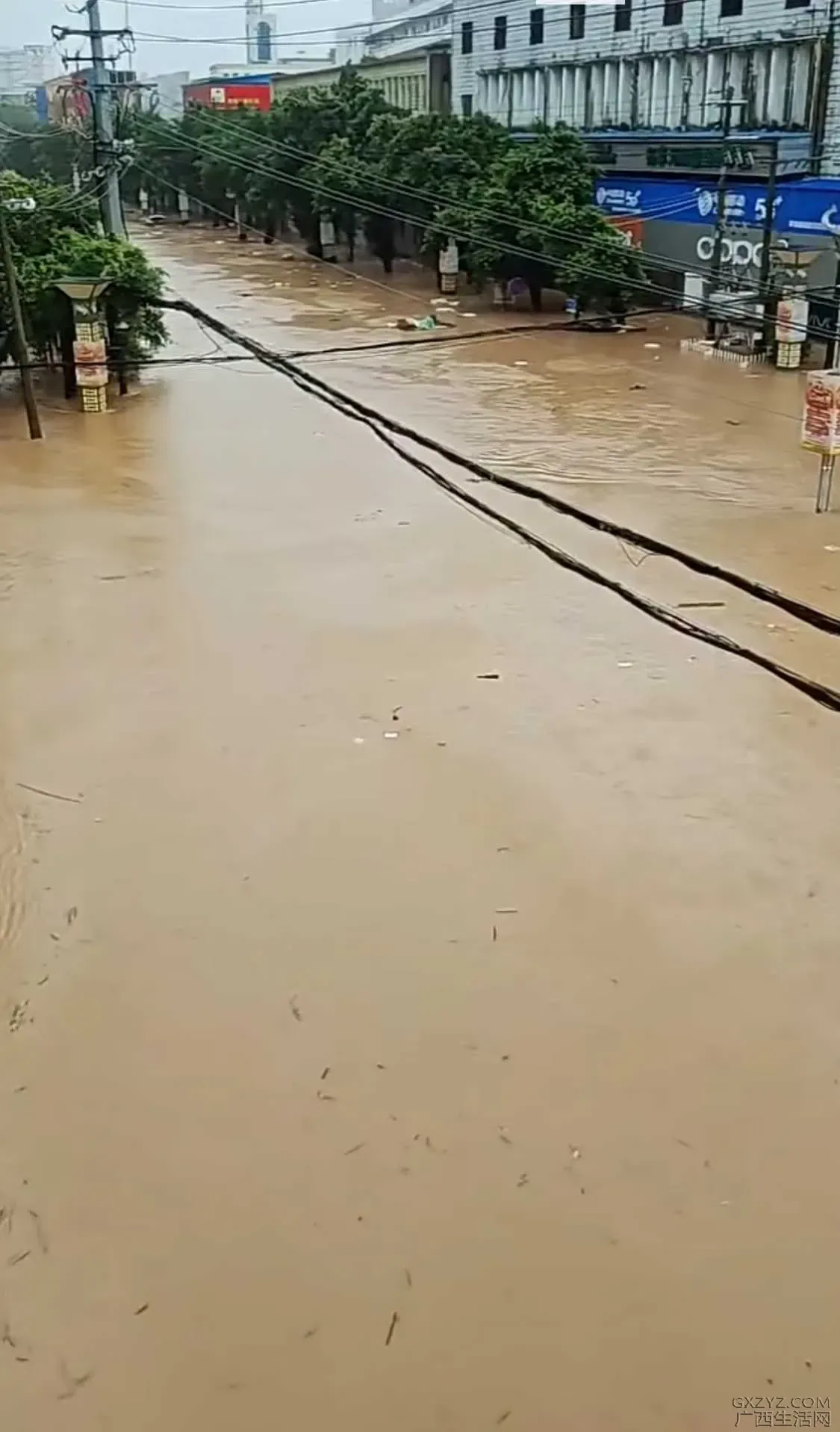 微信图片_20260705100909_161_2.webp