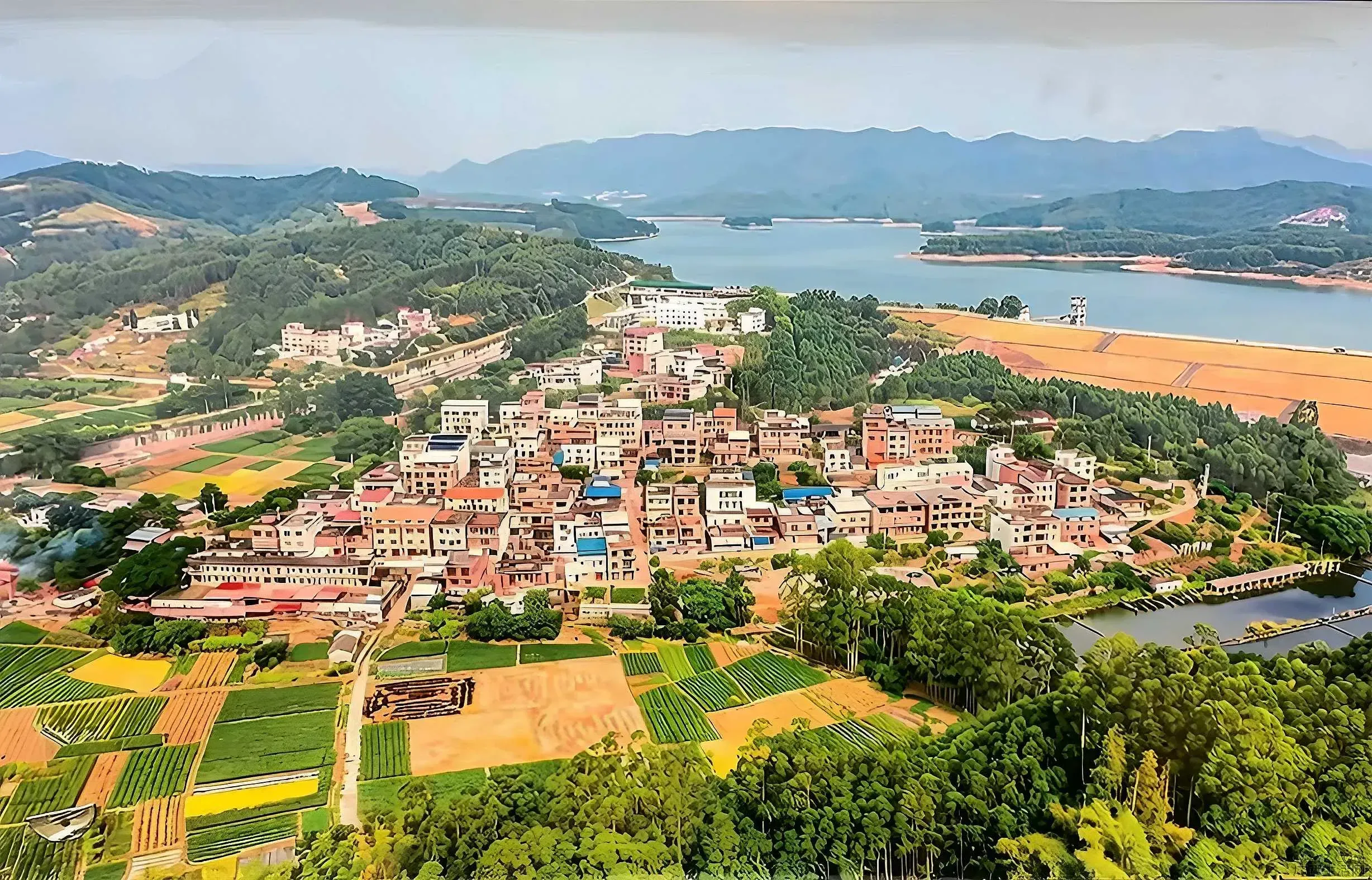 微信图片_20260729073040_21_1.webp
